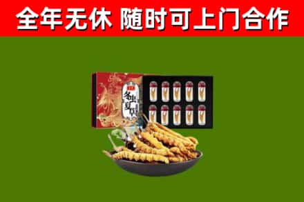 九龙坡回收冬虫夏草价格